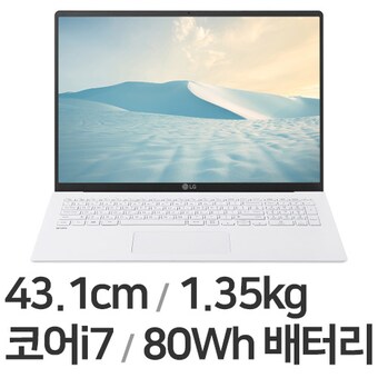 LG전자 2021 그램17 <b>17ZD95N-GX76K</b>