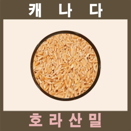  THE큰나무 캐나다산 오리지널 카무트 1kg [3개]