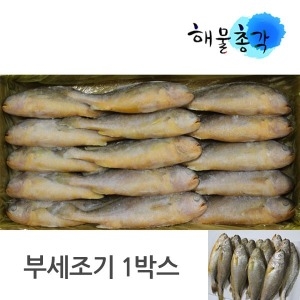 해물총각 부세조기 3.4kg 26cm