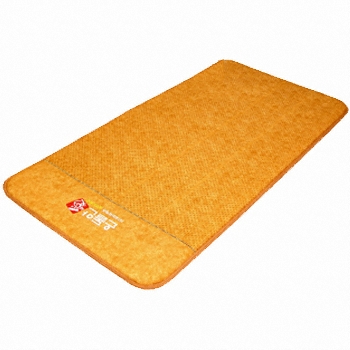 로보틱케어 DS-1100 온돌안애 스마트 온수매트 2012년형 (1인용, 100x200cm, 싱글)_이미지