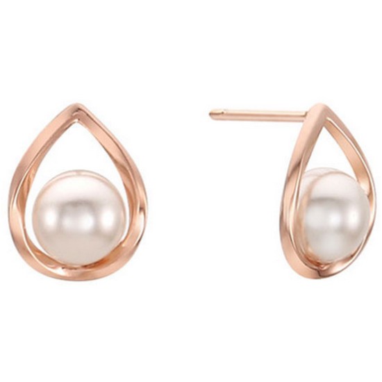 ����� SILVER �Ͱ��� RC0043