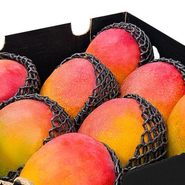 익스프레쉬 최상급 직수입 애플망고 7-9입 4kg (1개)_이미지