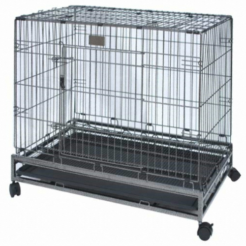 �긮�� ��ü  �긮�� ������ ���� L