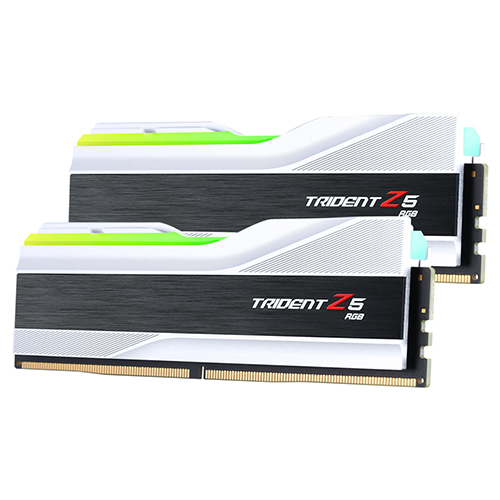 G.SKILL DDR5-6000 CL40 TRIDENT Z5 RGB J 실버 패키지 (32GB(16Gx2))_이미지