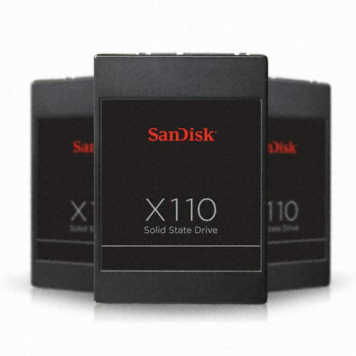 Sandisk x110 유프라자 (128GB)_이미지