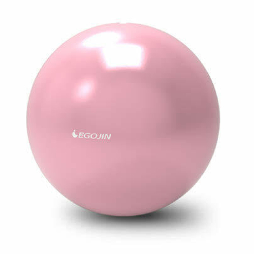 이고진 미니짐볼 20cm_이미지