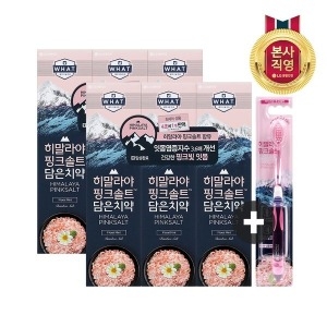 LG생활건강 페리오 히말라야 핑크솔트 담은치약 플로럴민트 100g x 6개 + 핑크솔트 담은칫솔 x 1개 (1세트)