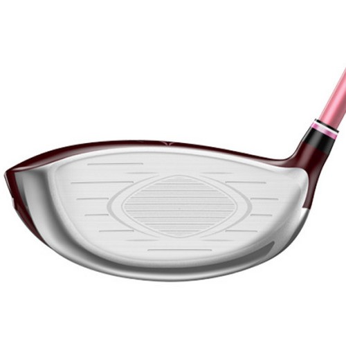 ���� ���ÿ� 12 ������ ����̹�