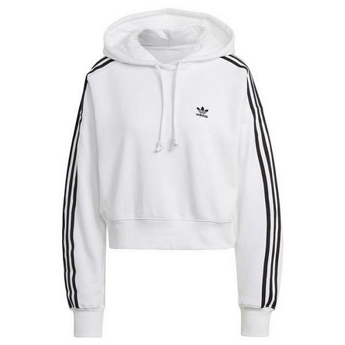 �Ƶ�ٽ� ũ�� �ĵ� GN2891