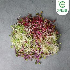온도씨 가락시장 새싹 1팩 50g