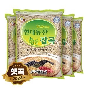  현대농산 국산 압맥 4kg 1kgx4봉