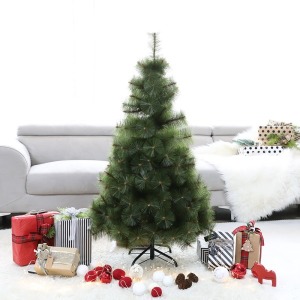 ����Ʈ ����� �����޶� ���� ����Ʈ��