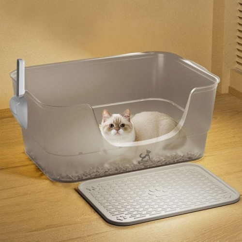 ��ǰ �� �̹���