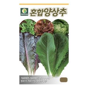 다농 혼합 양상추 씨앗 3g
