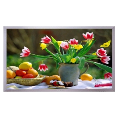 LG���� ����ĵ���� MN-60PZ95V_�����̰�����