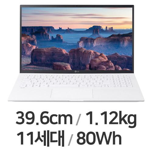 LG전자 2021 그램15 15ZD90P-GX76K