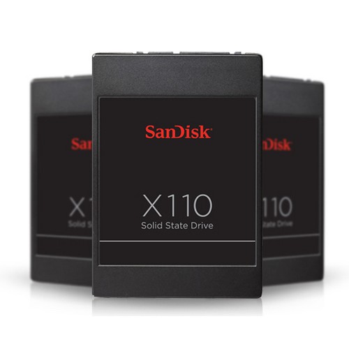 Sandisk x110 유프라자 (256GB)