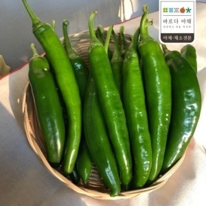 바르다야채 아삭한 오이고추 특 5kg 오이맛고추_이미지