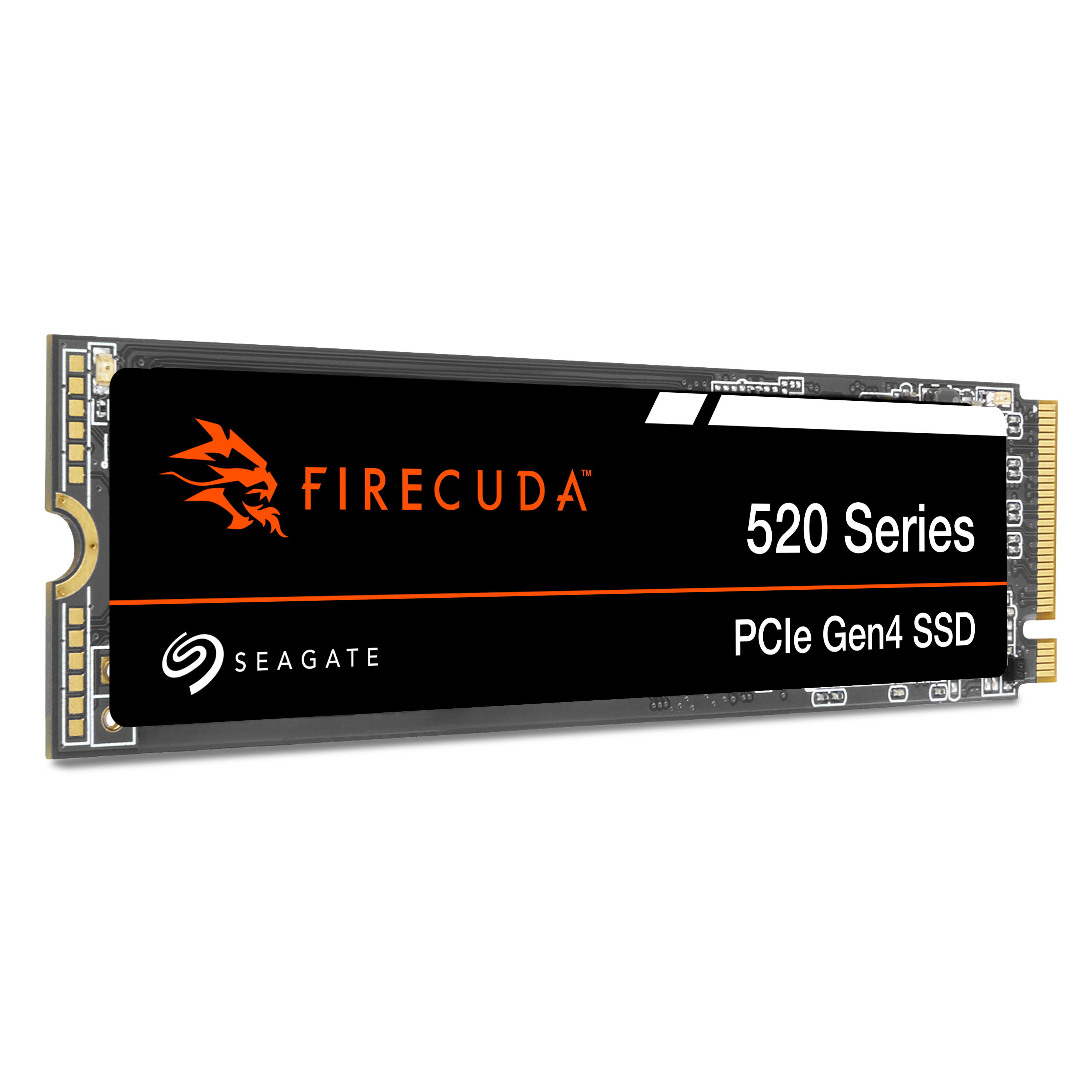 Seagate 뉴 파이어쿠다 520 M.2 NVMe (500GB)_이미지