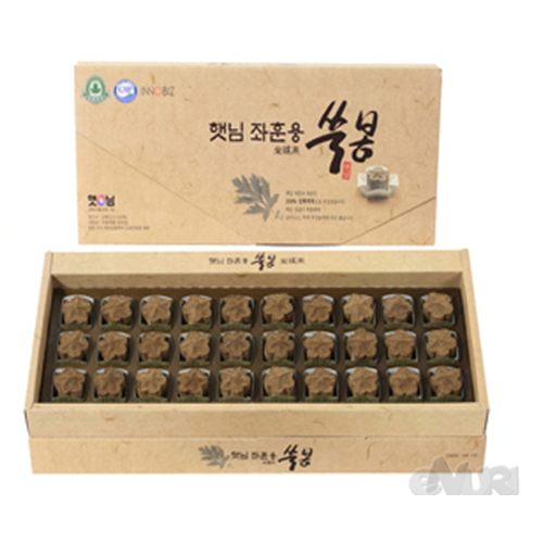 햇님 햇님 좌훈용 쑥봉 (1박스)