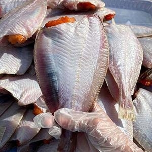 자연맛남 영덕 손질 반건조 참가자미 특 12마리 마리당 165~200g (1개)_이미지