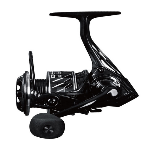 NS ���� 2000HGM