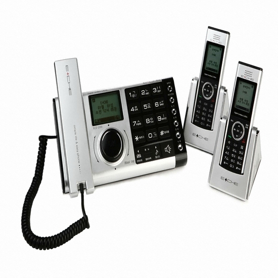 이채 ECD-1100_이미지