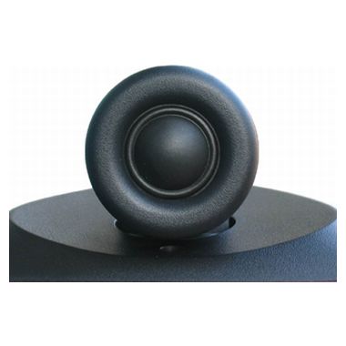 와피데일 PI-10_이미지