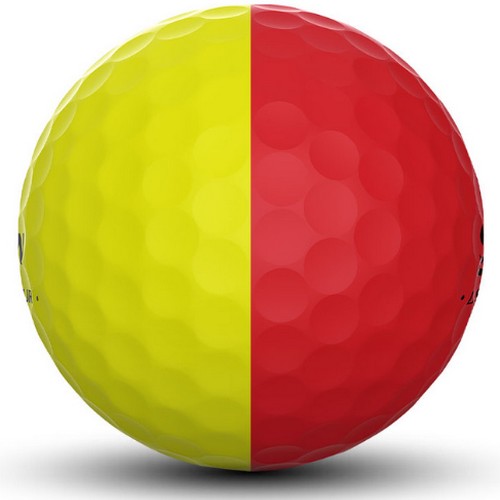 ���� ������ 2024 Q-STAR ���� ����̵� ���ο�+����