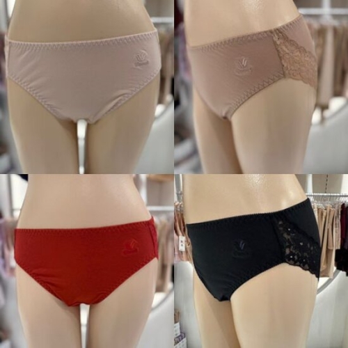 와코루 WPT4149 면스판 데일리 백레이스 자수 팬티