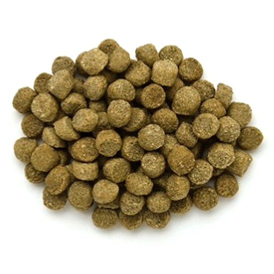 ���� ���� ���̾� ���̾�Ʈ �� ���Ʈ ����Ʈ ��������Ʈ 12kg