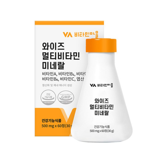 비타민마을 와이즈 멀티비타민 60정 (3개)