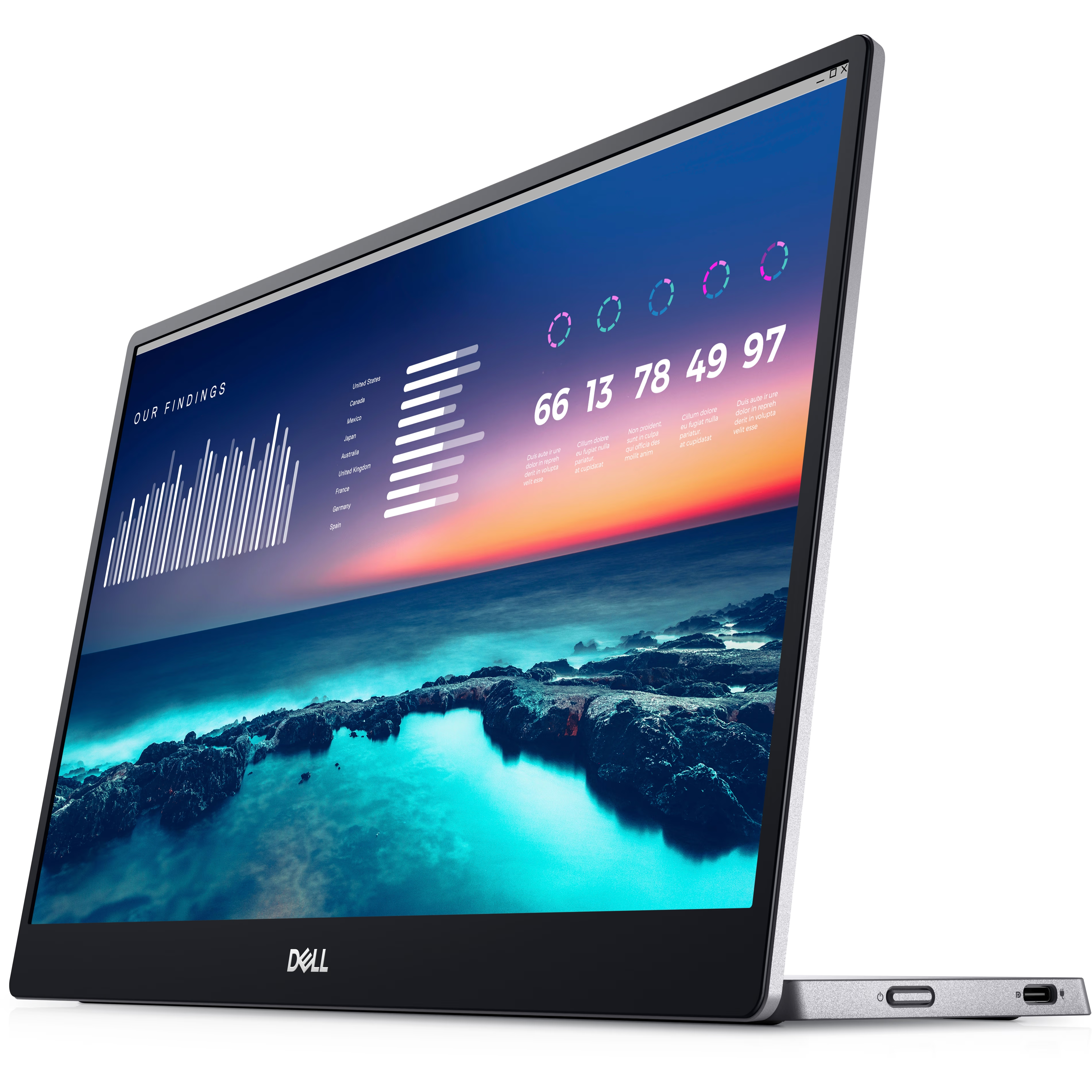 DELL  P1424H