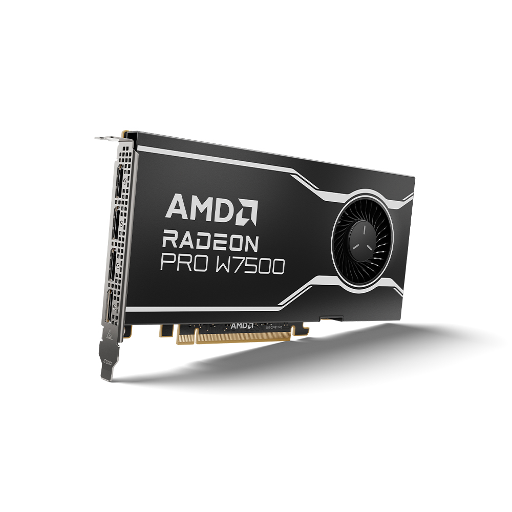 AMD 라데온 PRO W7500 D6 8GB_이미지