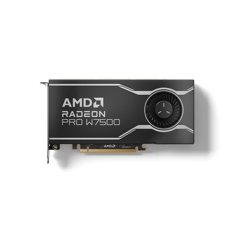 AMD 라데온 PRO W7500 D6 8GB_이미지