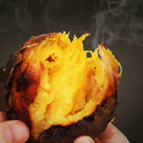 소리팜 해남 꿀고구마 중상 10kg