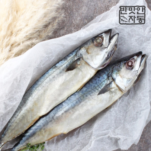 안동간고등어 5손 500g