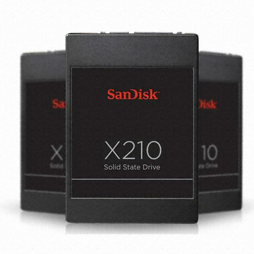 X210 Series SSD 유프라자