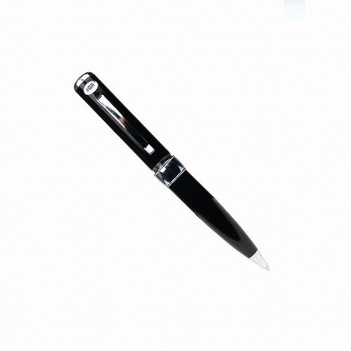 보이스 팬 레코더