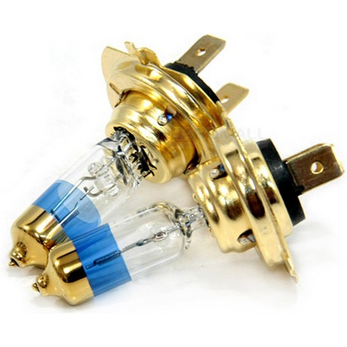 ���� ǻ�� �����Ʈ