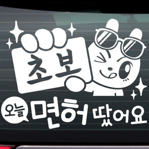 제이래빗 오늘 면허 땄어요 초보운전 스티커