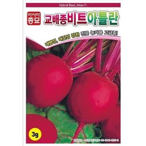 아시아종묘 아틀란 비트 씨앗 비트 씨 종자 3g_이미지