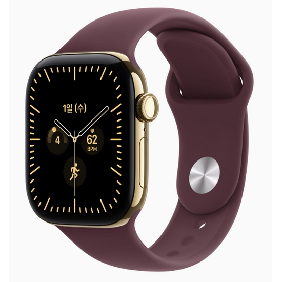APPLE ��ġ �ø���12 42mm Cellular ƼŸ��
