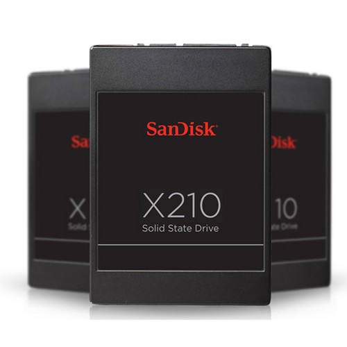 Sandisk X210 Series SSD 유프라자 (256GB)_이미지