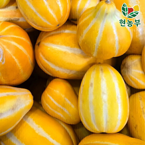 현농부 꿀벌 성주참외 가정용 못난이 랜덤 혼합 10kg (1개)