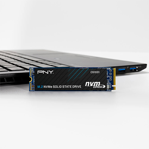 PNY CS1031 Gen3 M.2 NVMe ���̾���