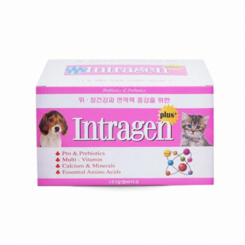 알켐코리아 인트라젠 플러스 200g (2g x 100p)이미지입니다. 누르면 해당 게시물로 새창이동합니다.