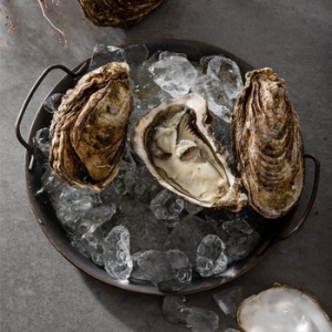 참다올 통영굴 삼배굴(개채굴) 3-5미 1kg (1개)_이미지