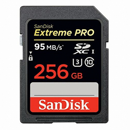 Sandisk SD Extreme Pro 2014 (256GB)_이미지