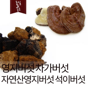 영지버섯 자연산영지버섯 차가버섯 석이버섯